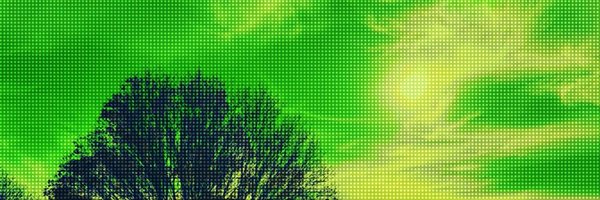 treetreet34543 Profile Banner