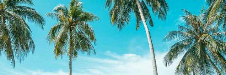Filippi_Jean's profile banner image