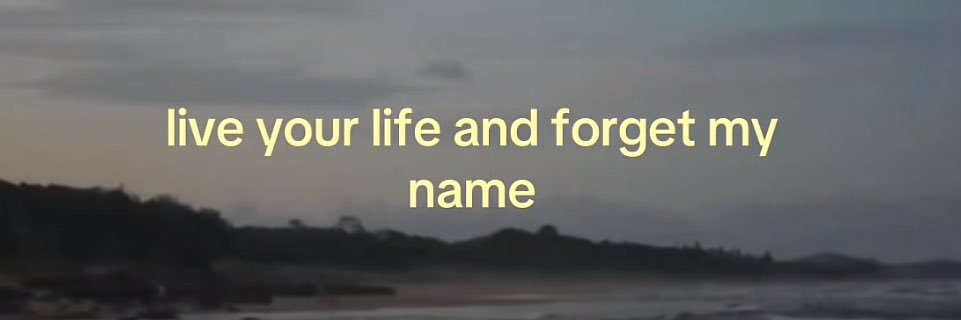 nereeache's profile banner image