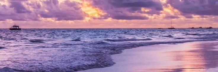 Carolina Quevedo banner