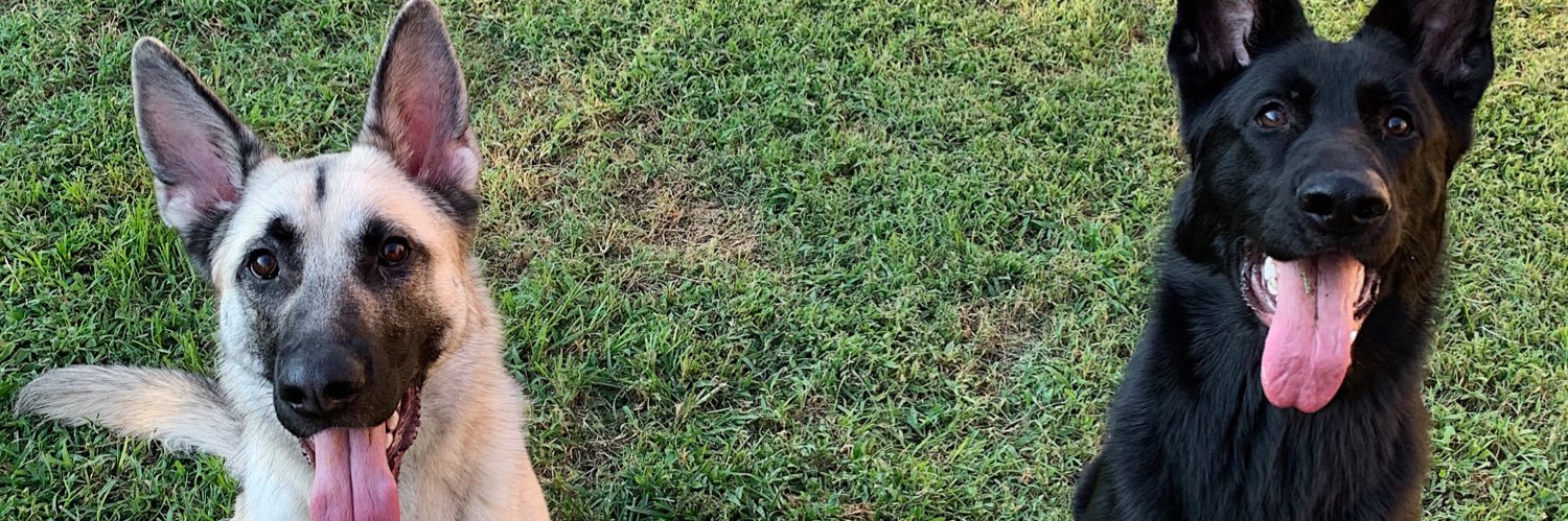 itsnicolebeth's profile banner image