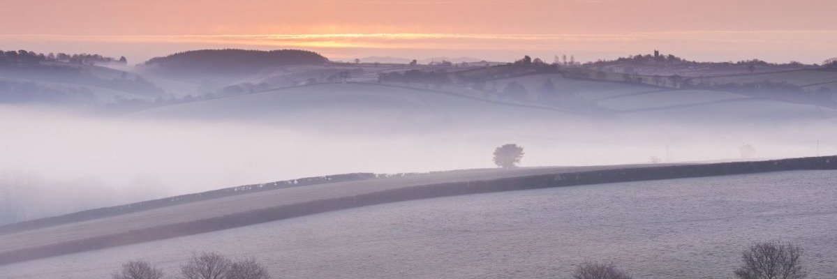 LABlossom7's profile banner image