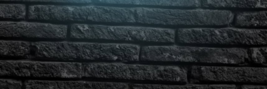LinxZB banner