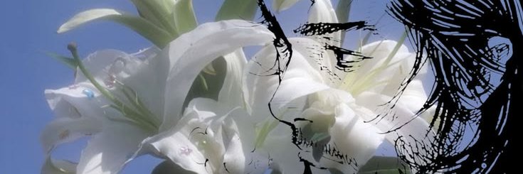 ayri77k's profile banner image