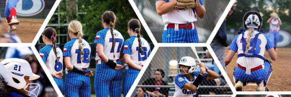 Dickinson Lady Gator Softball banner