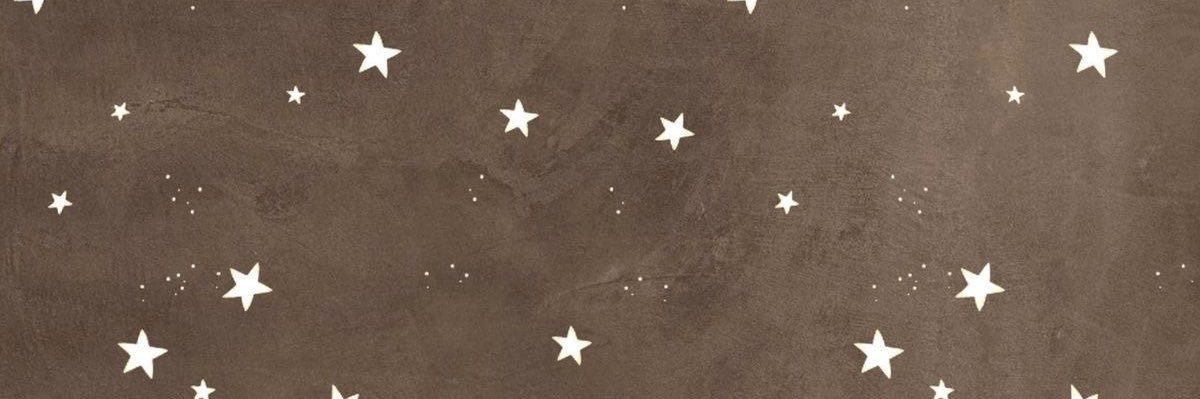 mars 𑁤 QSMP2 banner