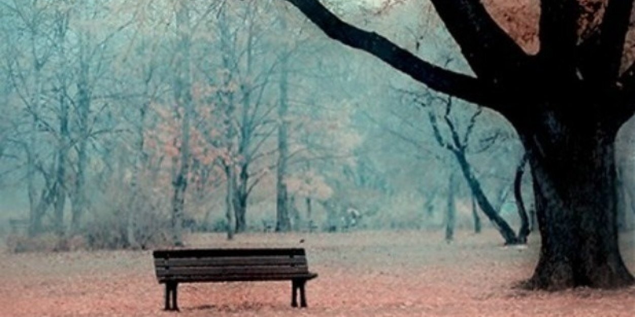 StheronSimo's profile banner image
