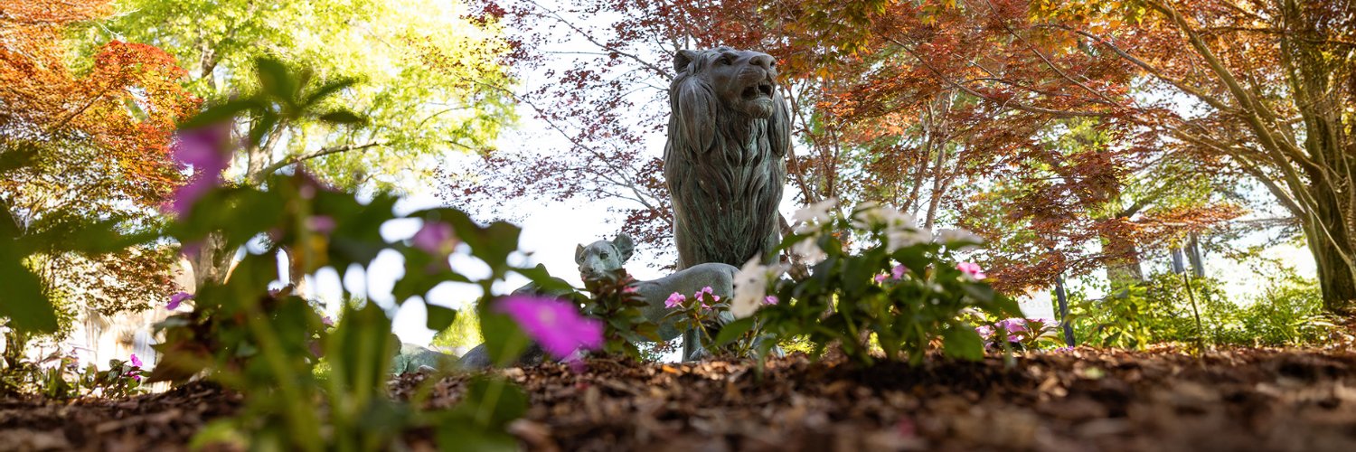 University of North Alabama banner