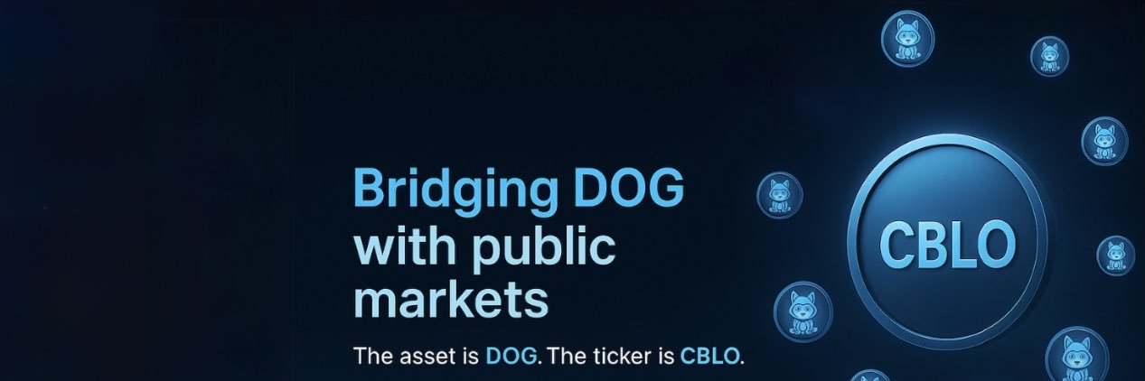 C2 Blockchain Inc's banner