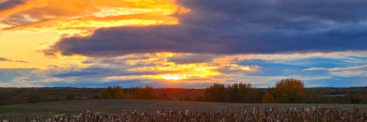 Jorge Gutierrez Jr. banner