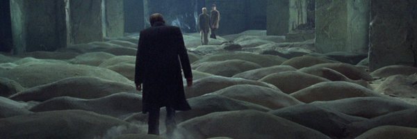 seijei Profile Banner