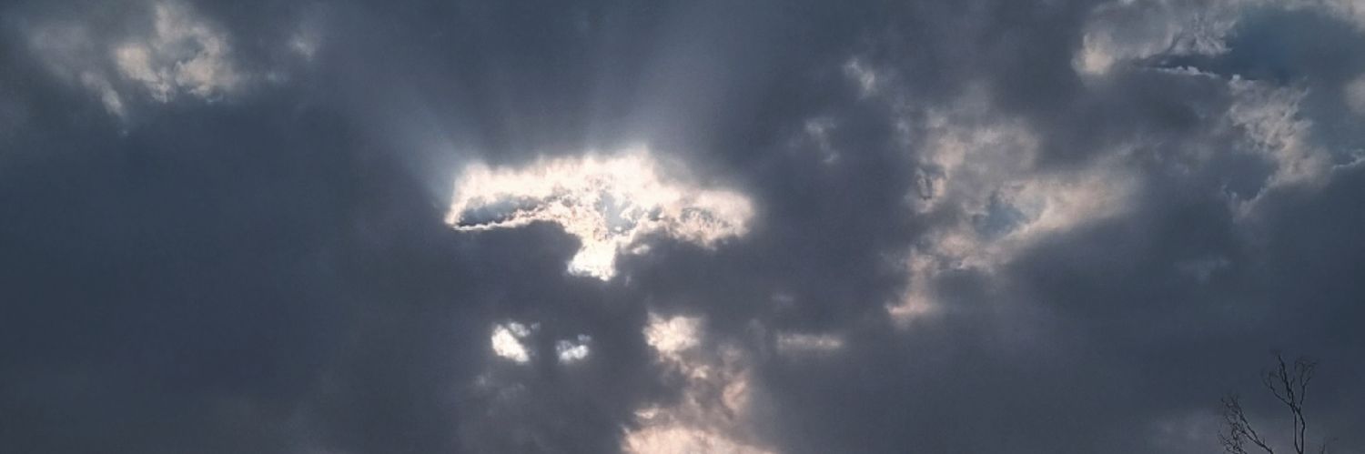 💅🫆 𝐑M banner