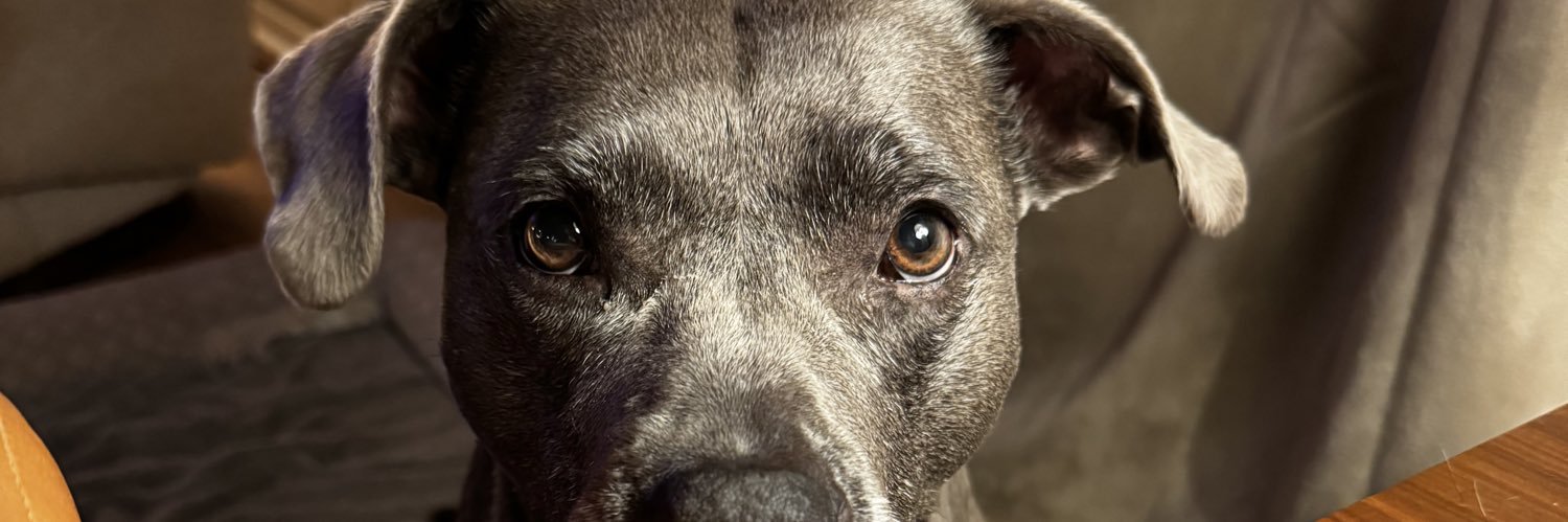 apeynard's profile banner image