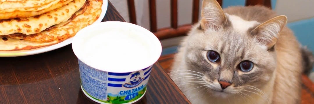 berryogurt5's profile banner image
