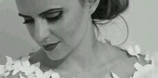 PriGonsalves's profile banner image