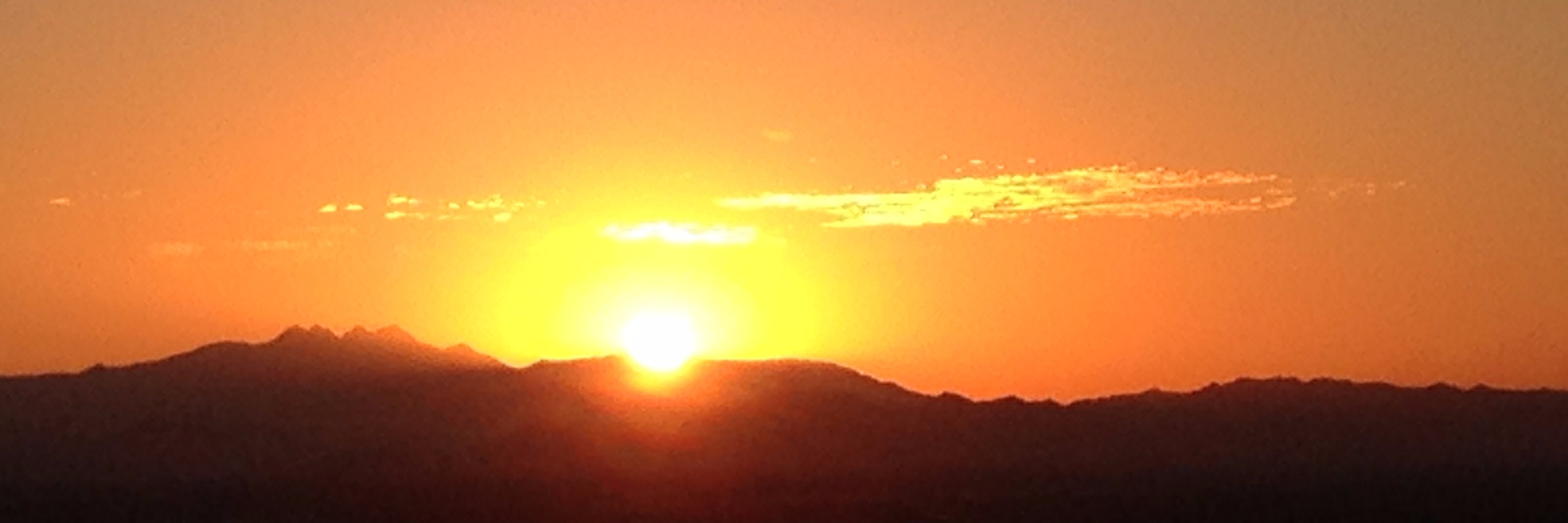 sharnjohnson's profile banner image