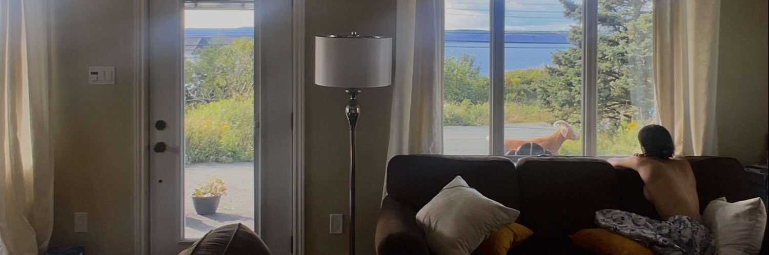 chickendog is watching satc banner