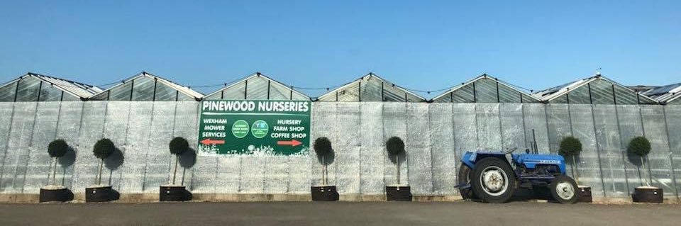 PinewoodLife's profile banner image