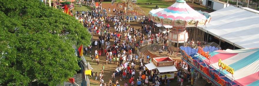 Fake Theme Park banner