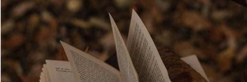 sonyy_20's profile banner image