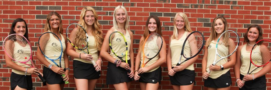 LSHS Girls Tennis banner