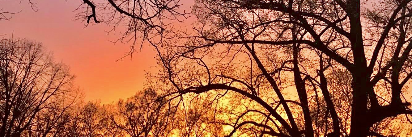 kymberleyraeee's profile banner image