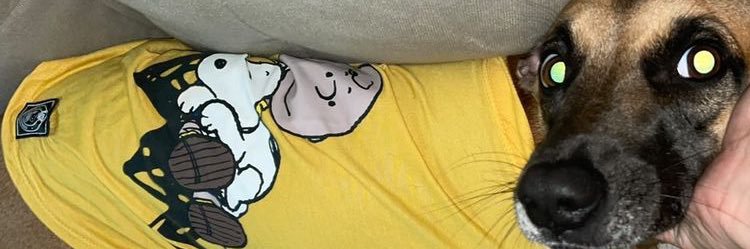 beaemerick's profile banner image