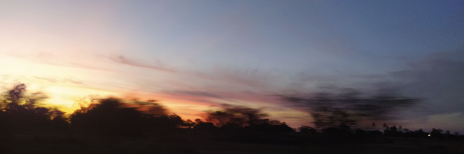 isbeelea's profile banner image