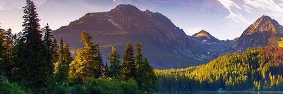 Sian Moody 🦋🦭 banner