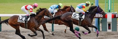 🐎MASAO🐴TAKAHASHI🏇 banner