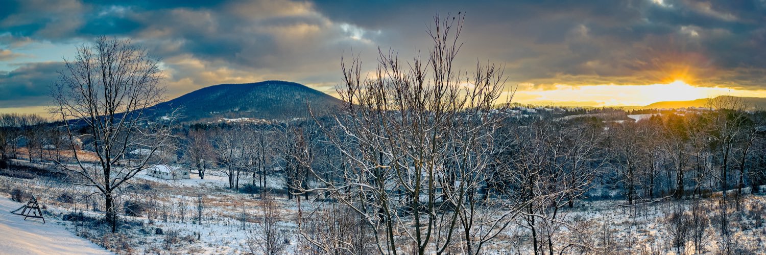 Rob Springall banner
