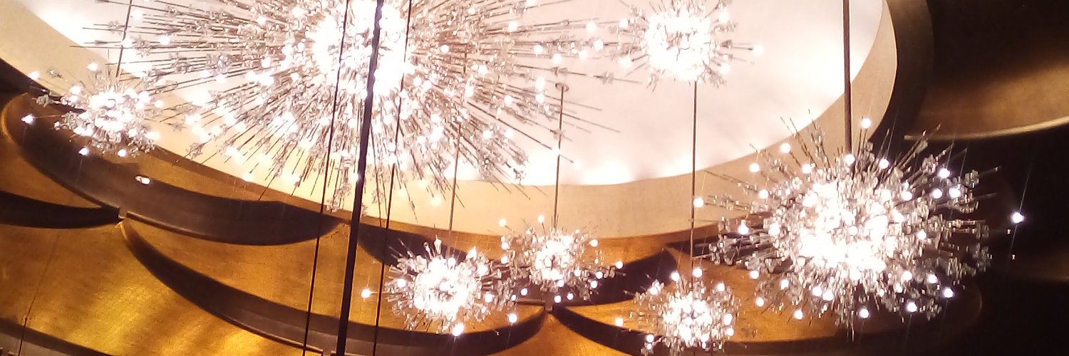 SusanNavarre 🇺🇦 banner