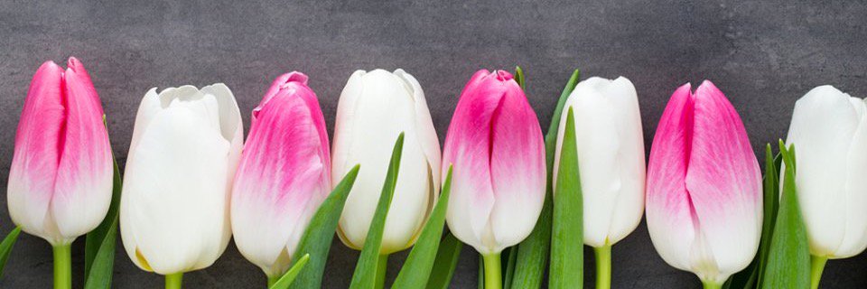 Florists.com banner