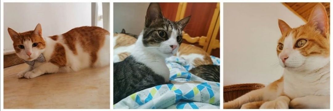 marianis85's profile banner image