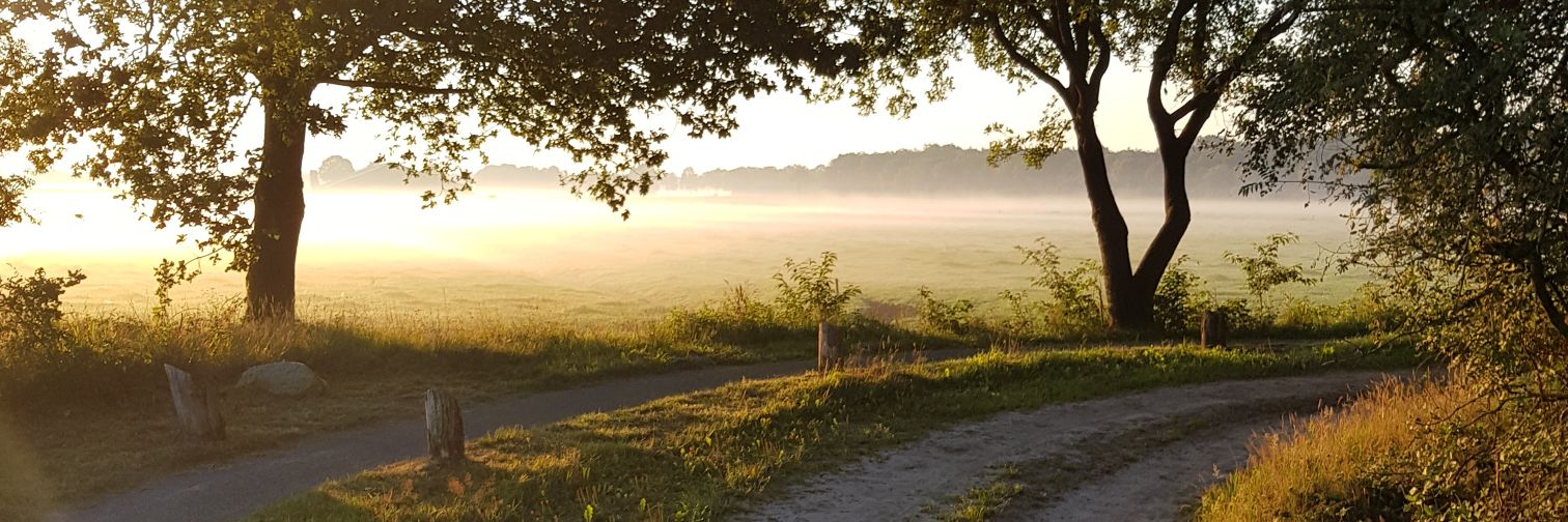 Anke Oosterhuis banner