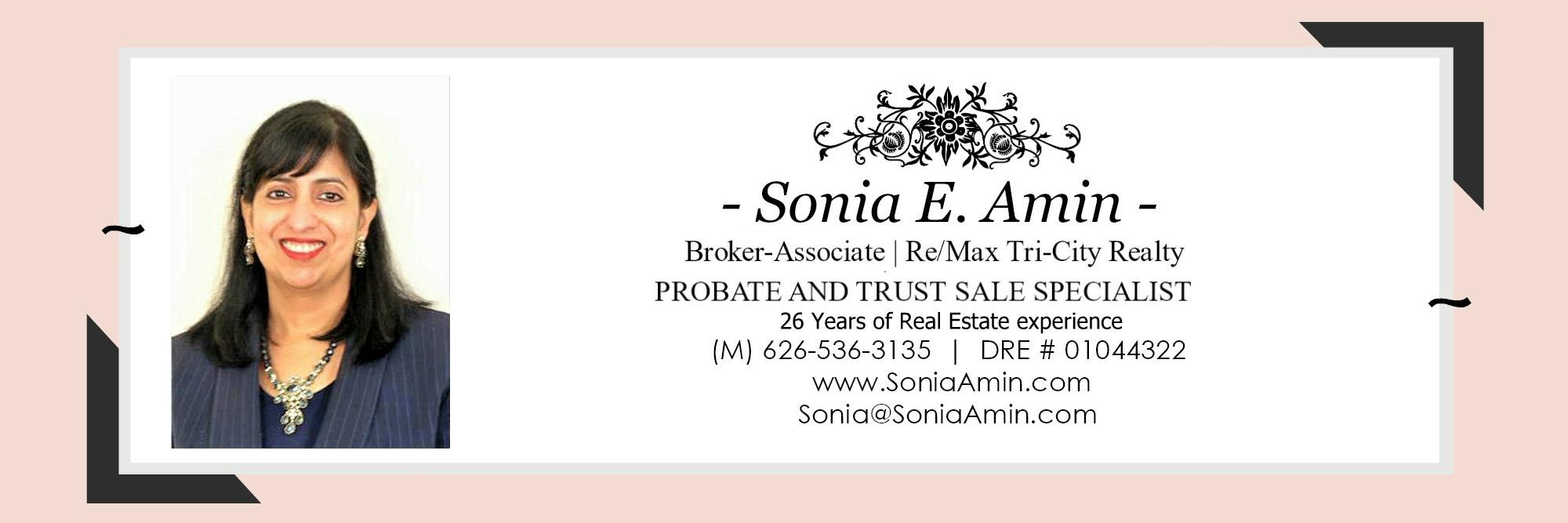 soniaamin's profile banner image