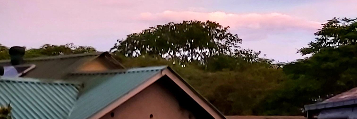 Cecile Vermaak Dorfling banner