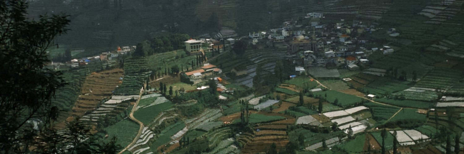 undipkonek's profile banner image