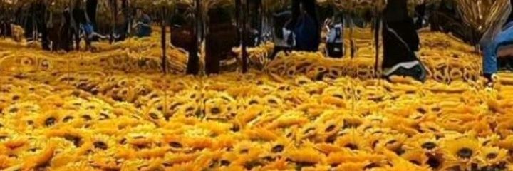 its_fafs's profile banner image