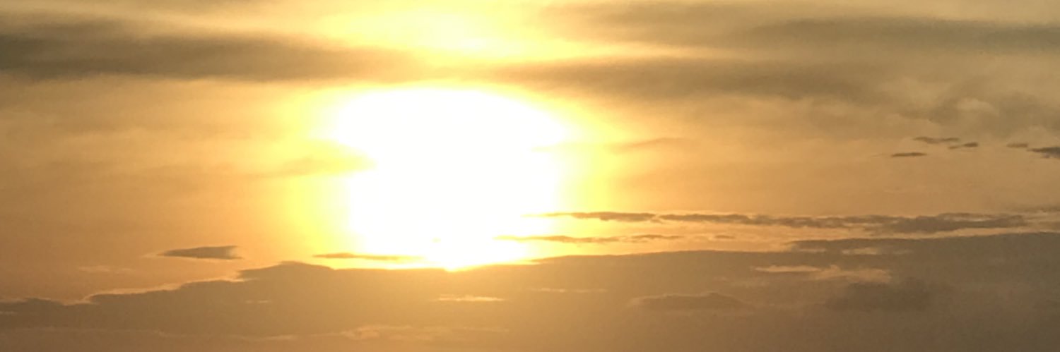 nikkynfts's profile banner image
