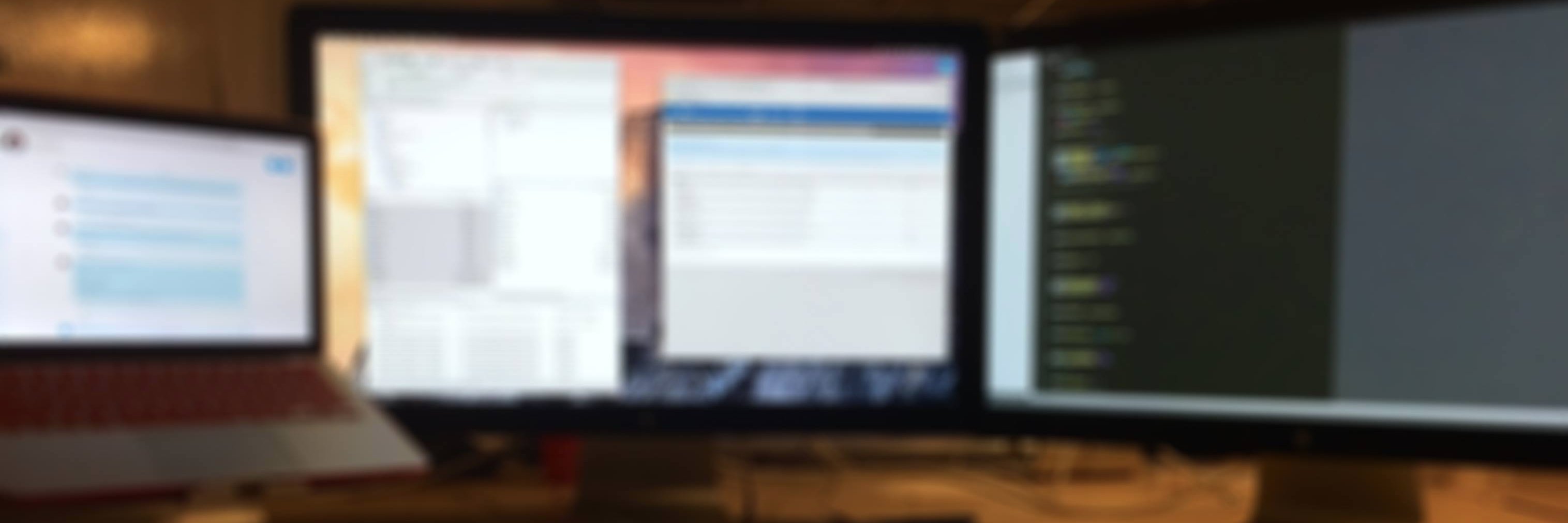 PeterJohn Hunt banner