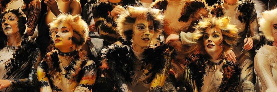 PounceDevil's profile banner image