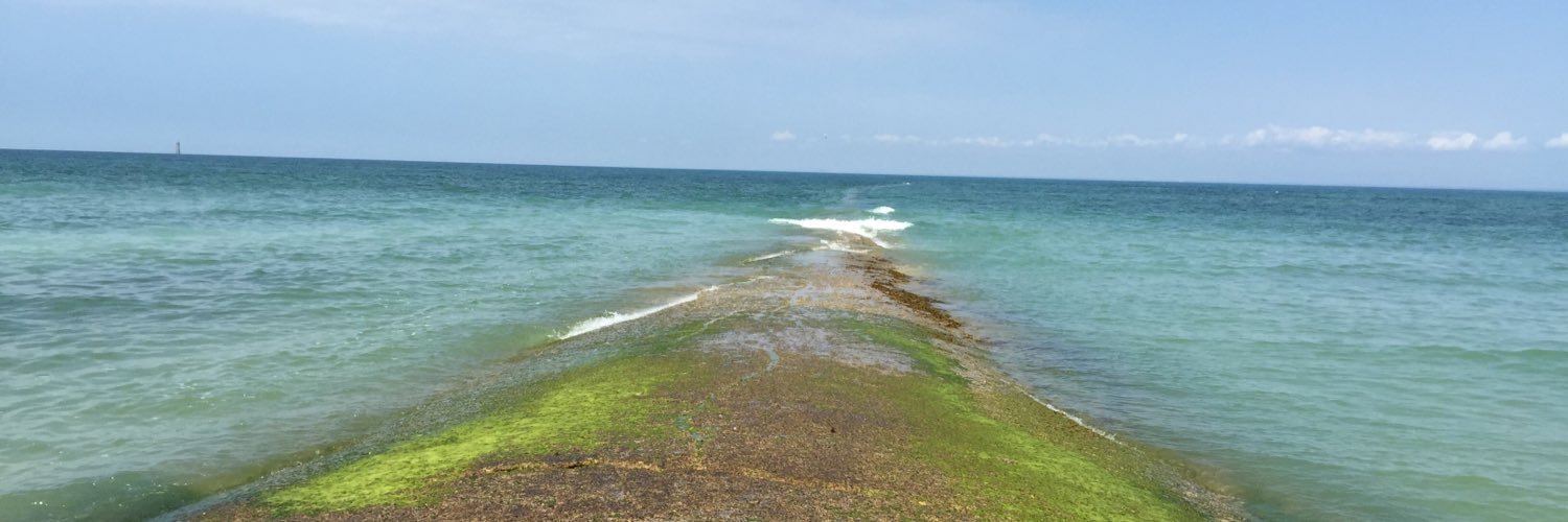 ImTheFredo's profile banner image