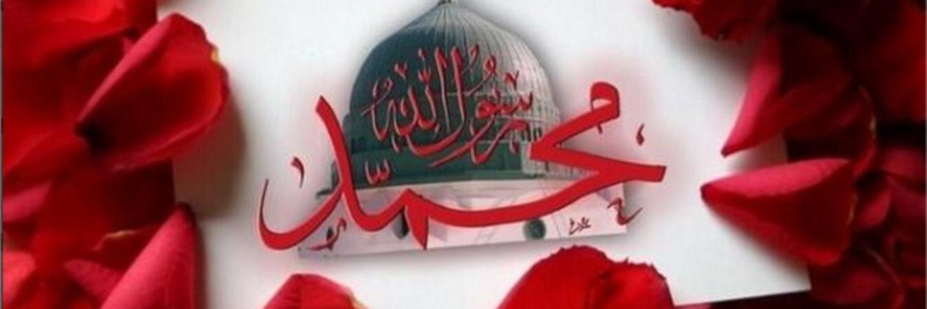imamhatibliler's profile banner image