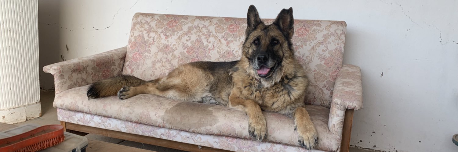 Jeniffer Mella banner