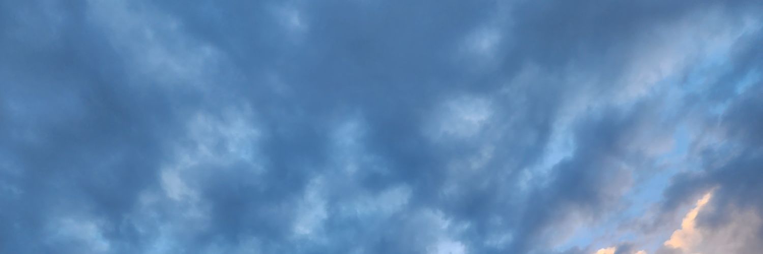 Natasha Museveni Karugire's banner