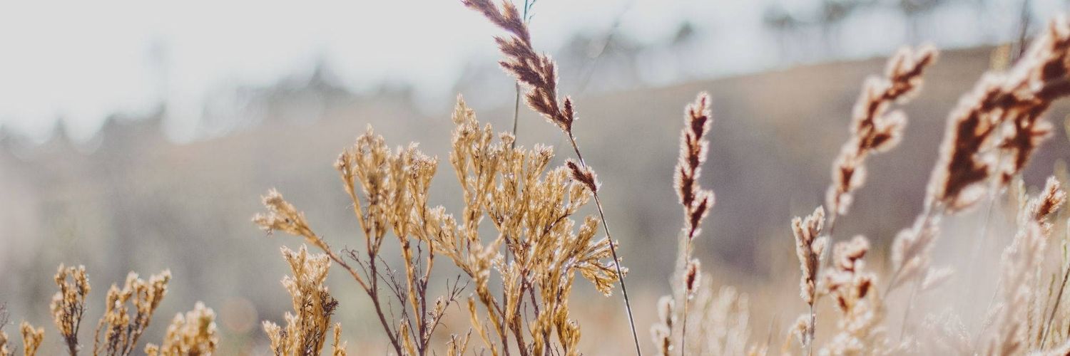 TakeItEasyAndCo's profile banner image