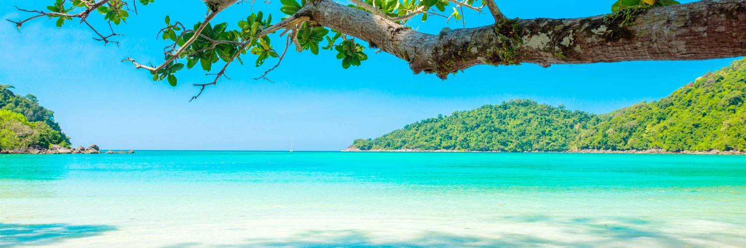 teesjuarez's profile banner image