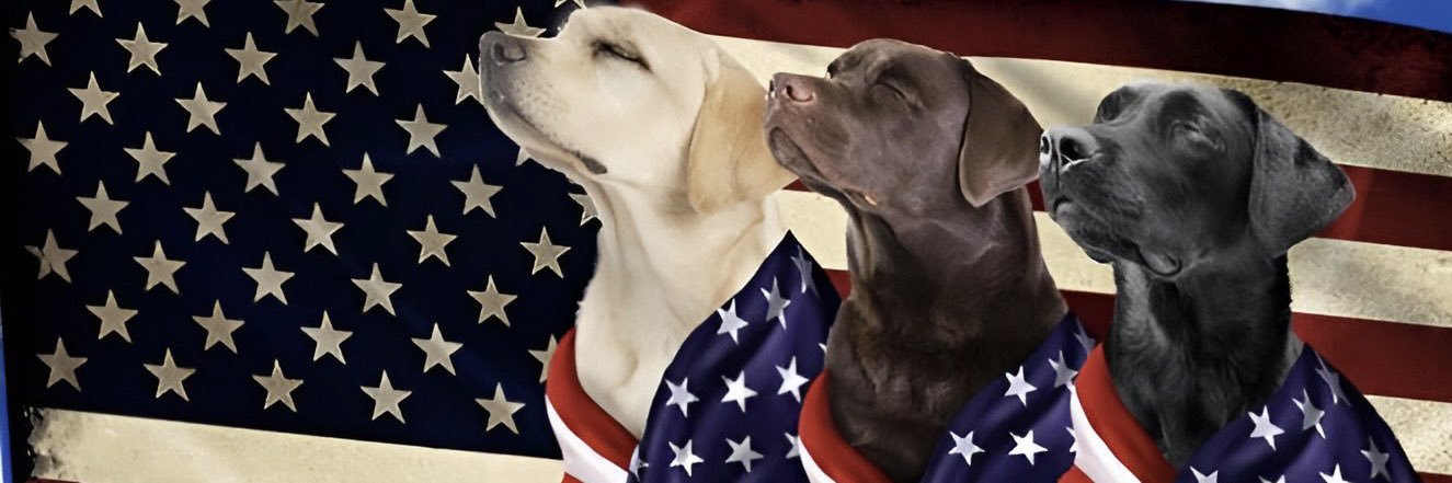 Douglas Joyce banner