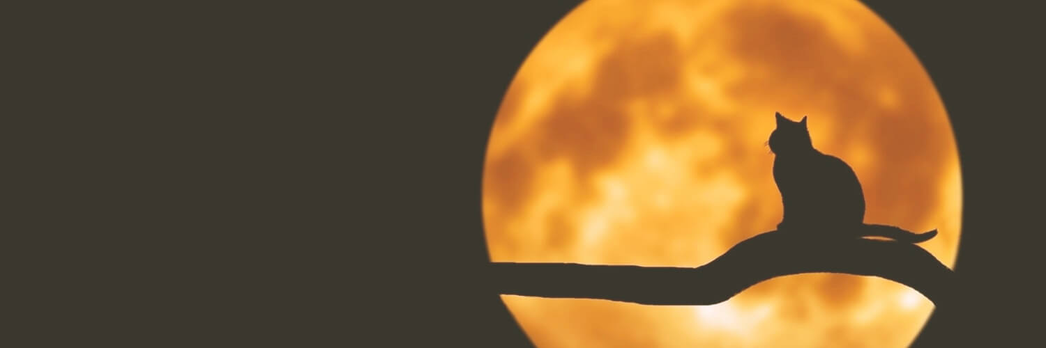 とも【取引垢】 banner